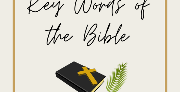 What's the Bible About 11-29-23